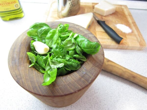 Basil leaves garlic in mortar