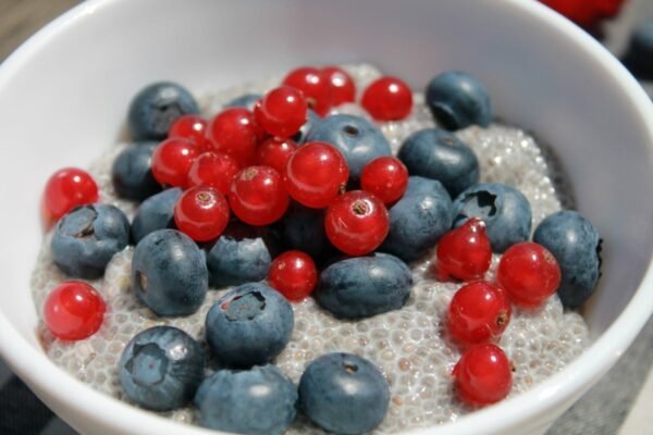Chia pudding closeup