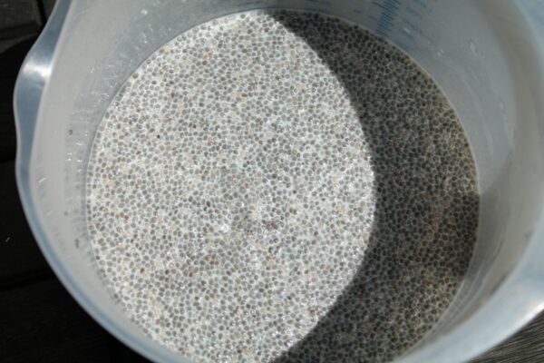 Chia pudding recipe 4