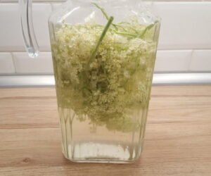 Elderflower cordial
