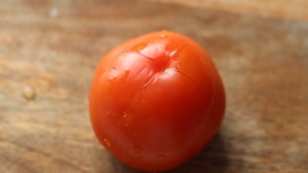 Peeling tomatoes 3