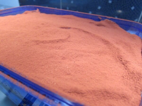 Tiramisu in container