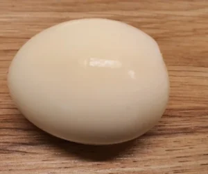 Peeled hard boiled egg