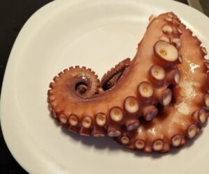 Cooked octopus
