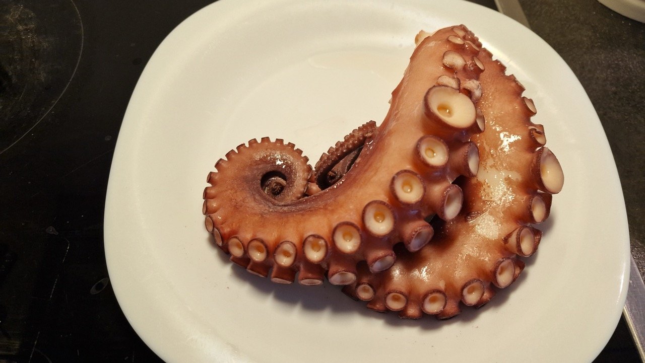 Cooked octopus