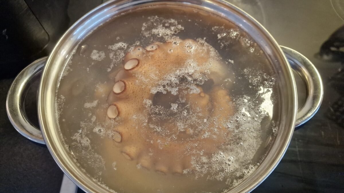 Cooking octopus