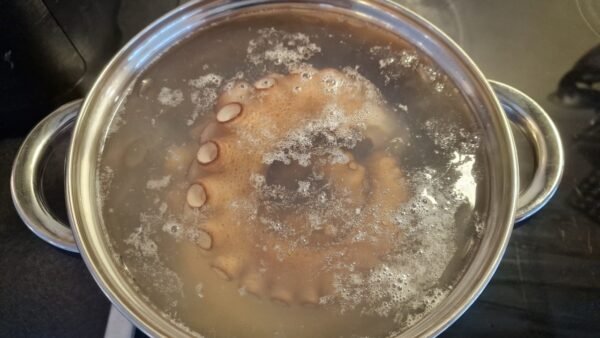 Cooking octopus