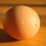 How to blow out an egg 1