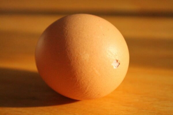How to blow out an egg 1