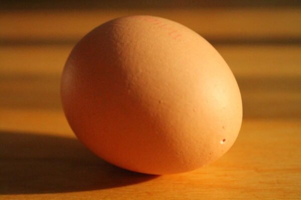 How to blow out an egg 2