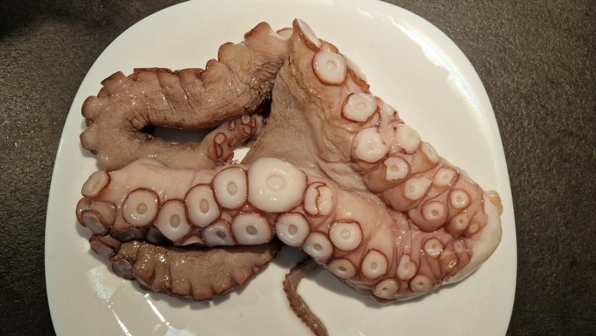 Thawed octopus