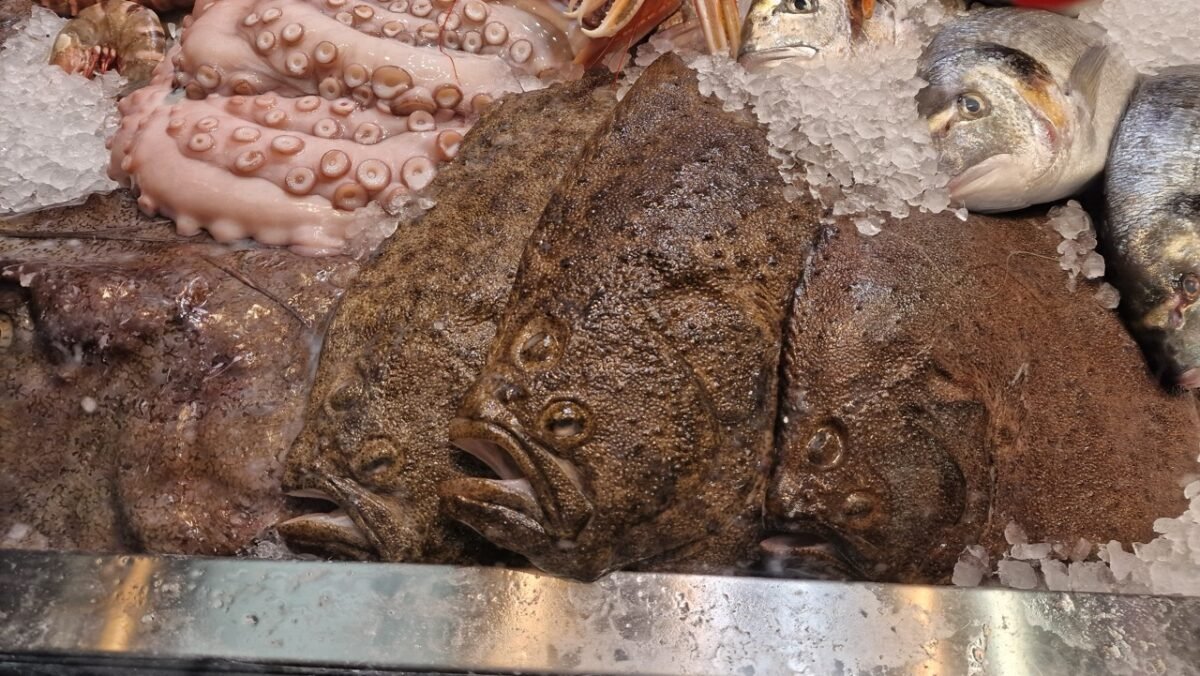 Flatfish