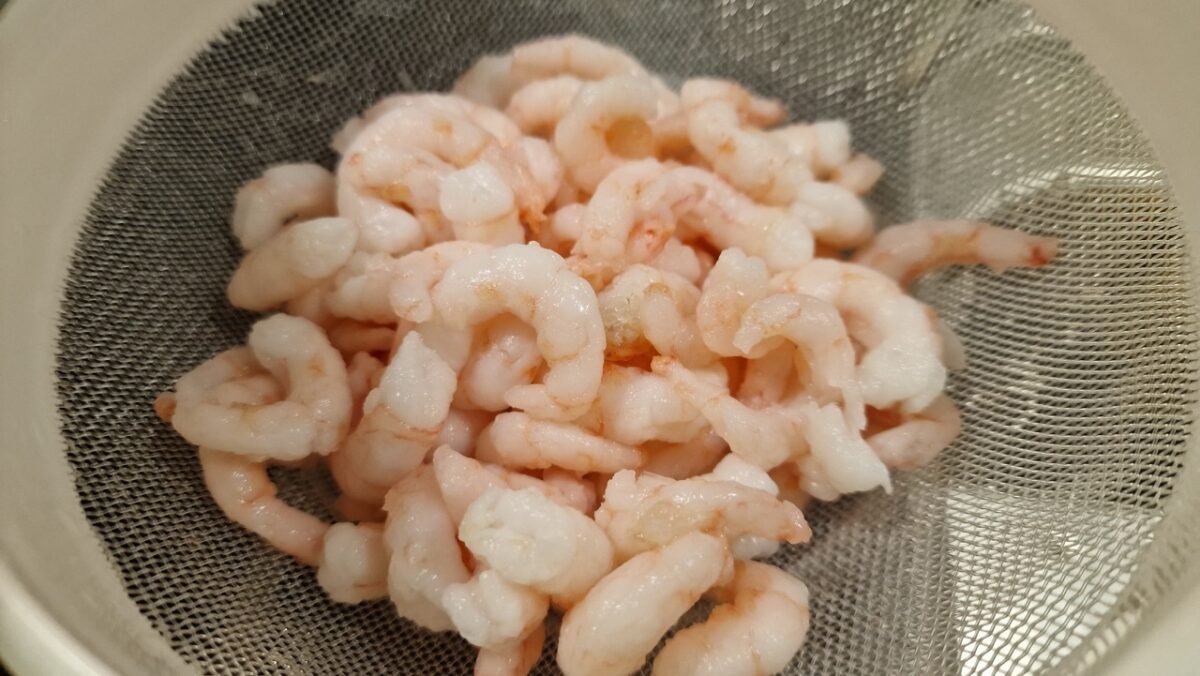 Stjerneskud shrimp